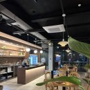 용우동 유천점 | [칸스 퍼블릭하우스 강릉점] 아늑한 분위기의 강릉 술집, 멕시칸 음식 타코 맛있는 유천택지 맛집