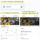 꿈꾸는석사태권도 | [동춘동태권도 NO.1 청량태권도] 달콤했던 청량둥이들의 하루🍓