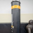 포항레슬링 팀헐크 이미지