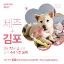 3월 22일 제주에서 김포 가시는분들중 아시아나나 대한항공 이용자분들의 도움이 필요합니다!! 이미지