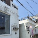 [합성동] 마산 숨은 디저트 카페 쿠쿠키키 자세한 솔직 후기 +꿀팁🍯,글루텐 프리 디저트👍