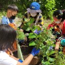 수한초등학교 이미지