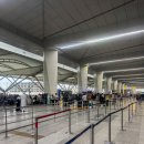 뉴델리 베이커리 | 홍콩 여행 | 뉴델리에서 홍콩, 홍콩 경유, 홍콩 에그...키 딤섬, 제니베이커리 제니쿠키 오픈런, 캐세이...