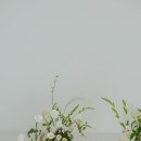 남산데이지