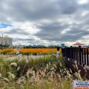 기흥호수공원 이미지