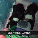 부은농장 이미지