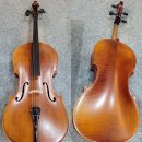 첼로병원 이미지