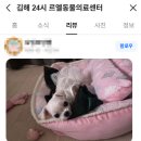 한림동물병원 이미지