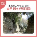 안덕면 안덕계곡서쪽 | 초록빛 자연이 숨 쉬는 숨은 명소 안덕계곡