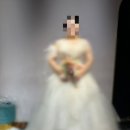 D12 | D12. 뚱신의 루아브라이드 드레스 가봉후기 (펄피치)