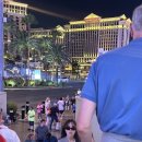 호텔욜로 이미지