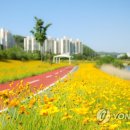 낙동강변26 연합뉴스
