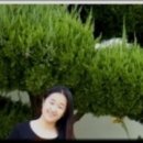 영남여관 - 김천시 평화중앙2길 6 | 영남여관