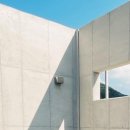 베지아웃 이미지