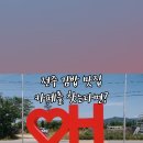 일상애락