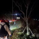 강릉맞이방편의점 | 부산당일투어 강원도 강릉 정동진 새해명소 후기 모레시계 대관령 부산테마여행사