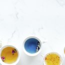 (주) 세온행정사 사무소 이미지