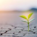 씨제이프레시웨이 한텍테크놀로지 | 2025년 4분기 실적 발표일