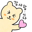 엔의원 네이버블로그