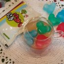 한솔농장 이미지