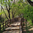 생명의 숲 | 생명의 숲 모원재 방문 후기: 자연 속 평화로움을 느꼈다