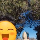 영남슈퍼 - 강서구 | 영남알프스 7봉 가지산 운문산 연계산행 다녀왔습니다 #2 산림청 블랙야크 100대 명산