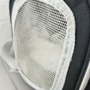 페츠온동물병원 이미지