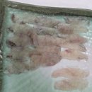 함태초등학교 절대정화구역 | 강릉 연곡해변솔향기캠핑장 C 구역 이용후기