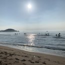 송정미연