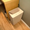 브라운도트 이미지