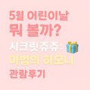 5월 어린이날 뭐하지? 시크릿쥬쥬 마법의 하모니 영화관 후기 아이랑 완전 신남 CGV 리클라이너