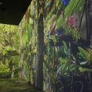 원더파크 이미지