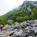 달마고도 이미지