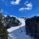 호텔 봄 | 오스트리아 봄 칠러탈 아레나 스키장 온천 호텔 후기