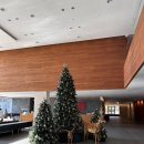 롤링볼당구장 | [화성시] 가족단위 호캉스 롤링힐스 호텔 패밀리 트윈룸후기, 룸상태, 장단점