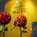 헤세드지역아동센터 이미지