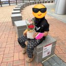 영원한 내편 울 아빠/아빠 엄마 사랑합니다/두번째 자전거 여행/순창 향가 유원지