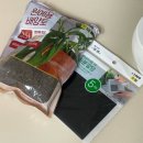 깔망 | 상견례 선물｜호접란 화분 셀프 준비 2개 5만원에 끝내기(내돈내산 총 가격, 양가 부모님 후기)