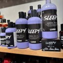 러쉬 | ✨일본 도쿄여행에서 LUSH 러쉬 제품 내돈내산 쇼핑 후기!