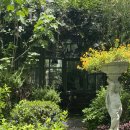 데이드림빌리버 이미지