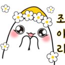 파파스팜 이미지