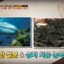 산지건어물 네이버블로그