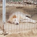 울산농장 이미지