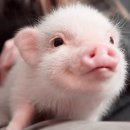 로드짐휘트니스 2호점 이미지