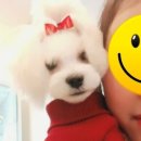 트리밍101 이미지