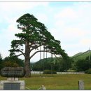 수철령 Daum카페