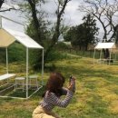 유빈목장 이미지