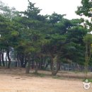 옹암 Daum카페