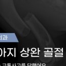 고성동물병원 이미지