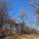 봉제산 등촌동 숲속놀이터 | 봉제산 둘레길을 다녀와서!~~~후기